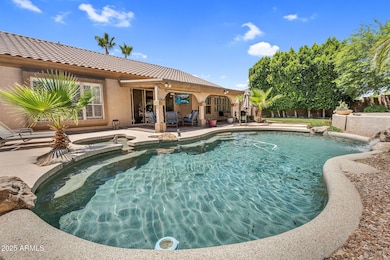 Backyard Pool