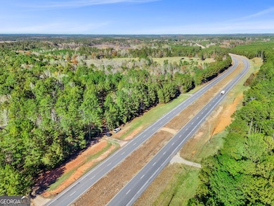 11.62+/- AC New Franklin Rd, Hogansville, GA 30230 - photo 4