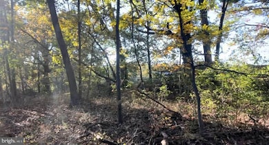 0 N Frederick Pike unit VAFV2038096, Winchester, VA 22603 - photo 6