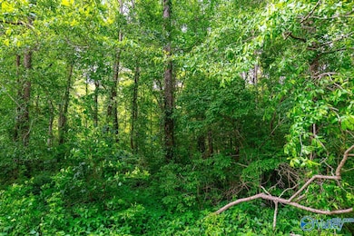 Bobo Section Bobo Section Rd, Hazel Green, AL 35750 - photo 2