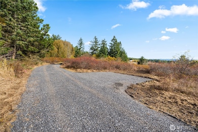 0 Pear Point Rd, Friday Harbor, WA 98250 - photo 5