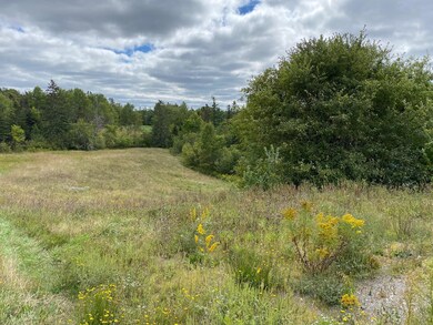 IMG_3726 (1)