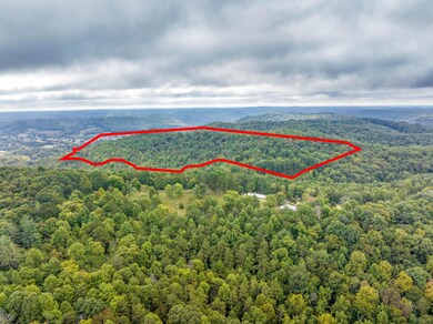 123 Harmon Rd, Somerset, KY 42501 - photo 2