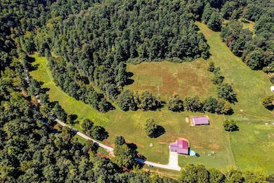 650 Sam Cavins Rd, West Union, WV 26456 - photo 6