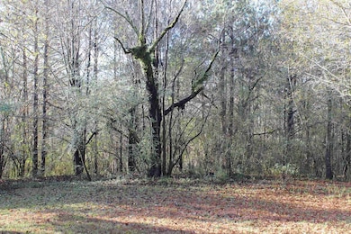 1628 Childhaven Rd NE, Cullman, AL 35055 - photo 2