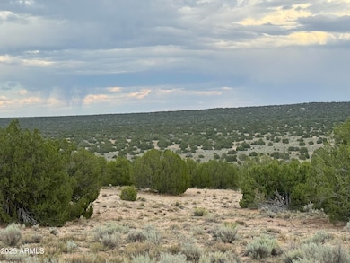 171 E Witch Well Ranches -- unit 171, Saint Johns, AZ 85936 - photo 2