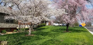 Even more beautiful in the spring!