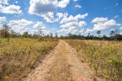 XX6 John Marsh Rd, Bonifay, FL 32425 - photo 6