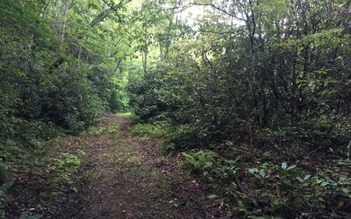 0 Bench Leg Rd unit 280799, Mineral Bluff, GA 30559 - photo 2