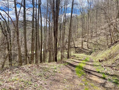 7858 Big Laurel Rd, Marshall, NC 28753 - photo 4