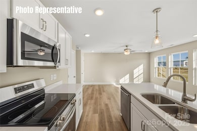 87 Coon Creek Rd, Pageland, SC 29728 - photo 4