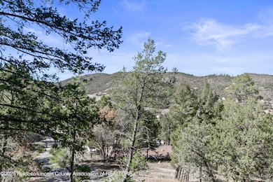 104 Signal Peak Rd, Ruidoso, NM 88345 - photo 4