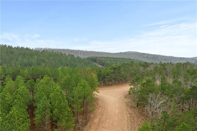 0 Lot 101 unit 989477, Broken Bow, OK 74728 - photo 4