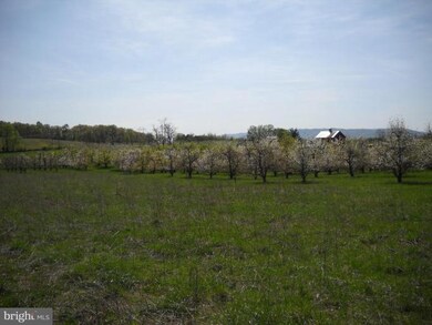 0 Buffalo Marsh Rd unit 1004780794, Middletown, VA 22645 - photo 5