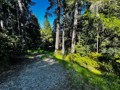 IMG_8639
