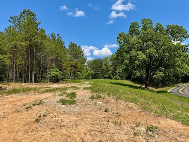 Silerton Rd, Toone, TN 38381 - photo 4