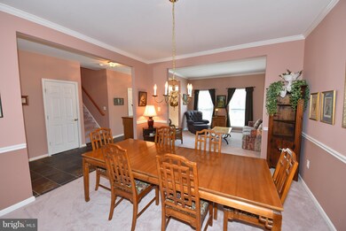 21628 Merion St, Ashburn, VA 20147 - photo 7