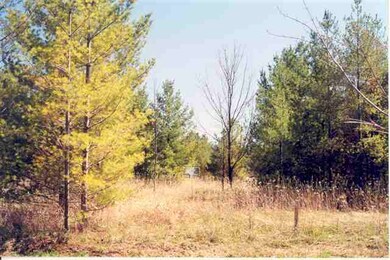 Lot 31 Weislik Ct, Charlevoix, MI 49720 - photo 3