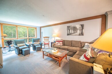 2A White Oaks Loop unit 6, Dover, VT 05356 - photo 5