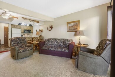 412 Notch Ln 2 Branson West MO 65737 (5