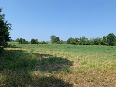 0 Sandridge Rd, Sawyer, MI 49125 - photo 7