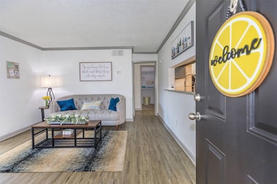 265 El Dorado Blvd unit 1906, Webster, TX 77598 - photo 4