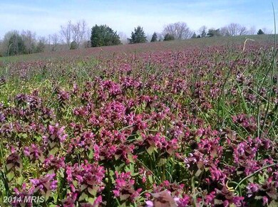 1 Scott Ln, Unknown, VA 00000 - photo 4