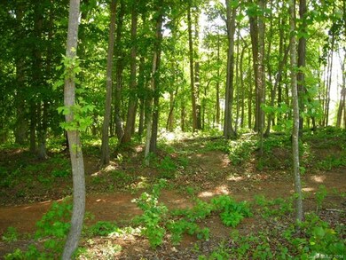 Gentle slope towards the water, excellent for base