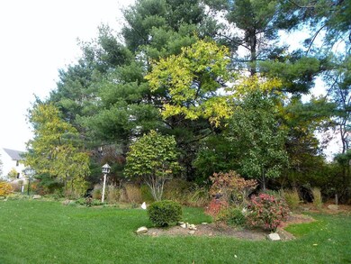 A6_rear yard