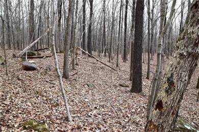 0 Madison 5548, Valley Township, AR 72727 - photo 5