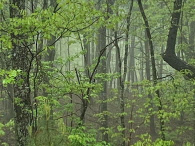 225 Prospectors Way, Jasper, TN 37347 - photo 2