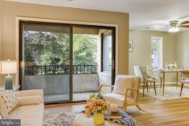 507 Florida Ave unit 102, Herndon, VA 20170 - photo 5