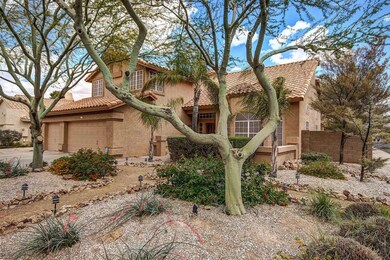 Saguaro (5)
