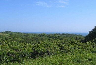 3 Aquinnah Cir, Aquinnah, MA 02535 - photo 3