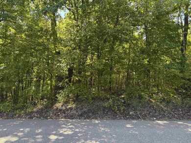 0 Bethuel Rd unit Lot 7, Unincorporated, TN 38053 - photo 4