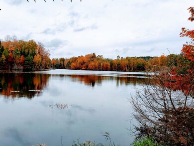 W10614 Cth J, Deerbrook, WI 54424 - photo 4