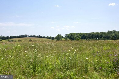 52 Wayside Mill Ln, Middletown, VA 22645 - photo 3