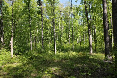 0 Konsella Rd, Gilman, WI 54433 - photo 4