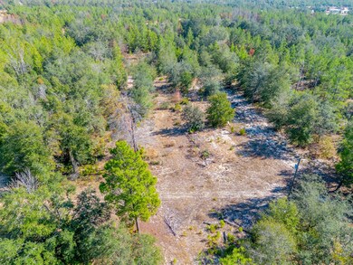 503 Old McHaus Rd, Nicholls, GA 31554 - photo 6