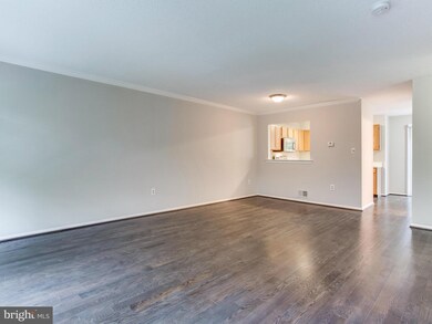 6216 William Mosby Dr, Centreville, VA 20121 - photo 5