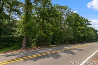 0 Rigmaiden Cemetery Rd, Dequincy, LA 70633 - photo 7