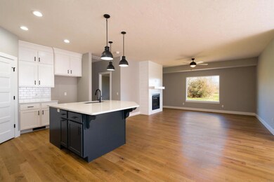 1095 E Lakota St, Nixa, MO 65714 - photo 2