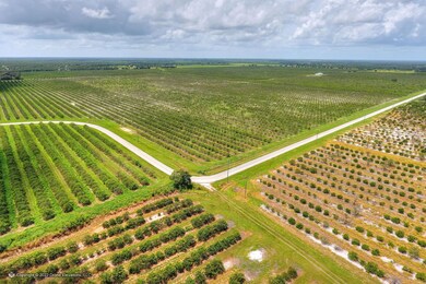 5015 Fish Branch Rd, Zolfo Springs, FL 33890 - photo 3