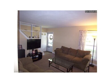 Spacious living room! Newer Carpet.