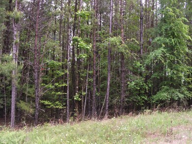 659 Old Mansion Rd unit A, Lunenburg Court House, VA 23952 - photo 7