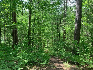 Lot 17 McCarthy Lake Rd, Tomahawk, WI 54487 - photo 3