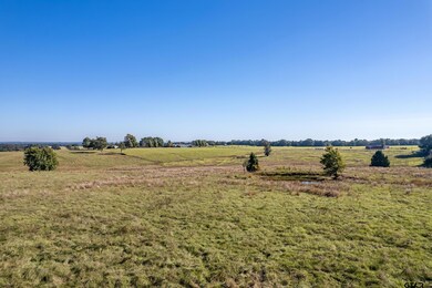 000 County Road 4331, Larue, TX 75770 - photo 5