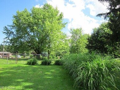 Fenced in backyard. Grasses planted. Many trees.