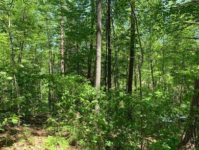 Lot 2 McCarthy Lake Rd, Tomahawk, WI 54487 - photo 3
