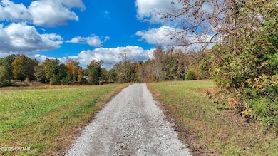 555 Brandon Rd, Huntingdon, TN 38344 - photo 6